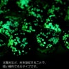ケラママリン ホタルガラス ビーズ 一連 10mm 40玉 光る 夜光 とんぼ玉 パーツ 沖縄 お土産 慶良間諸島